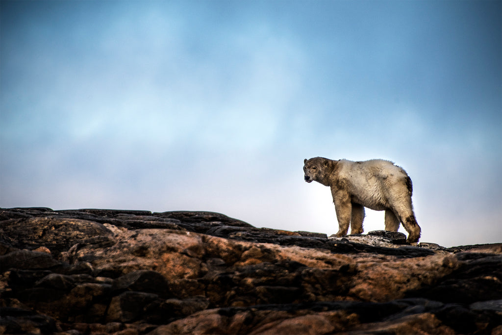 ASSIGNMENT - PHOTO SHOOT