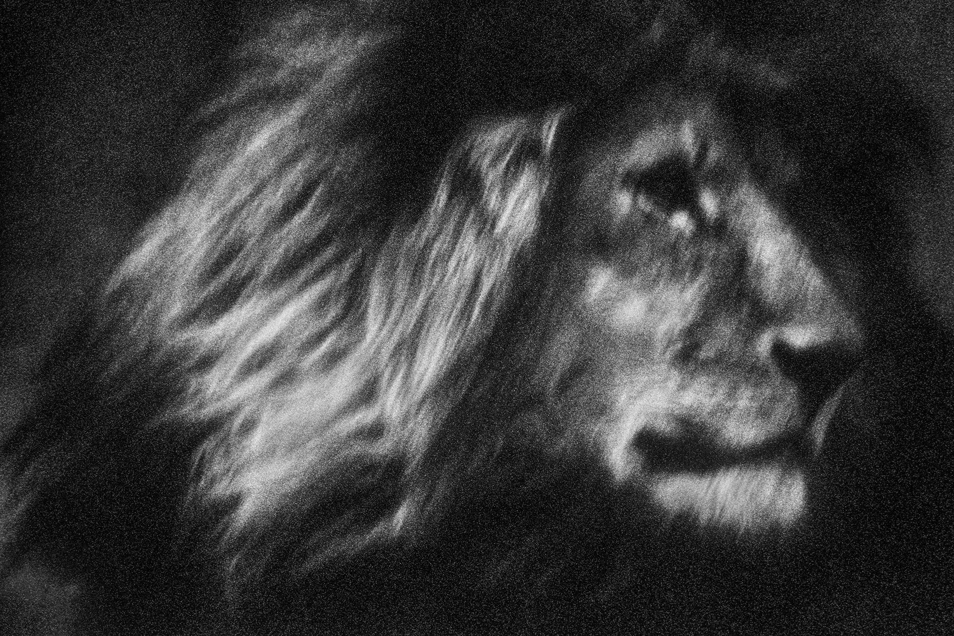 Fine Art Print - Award Winning Image