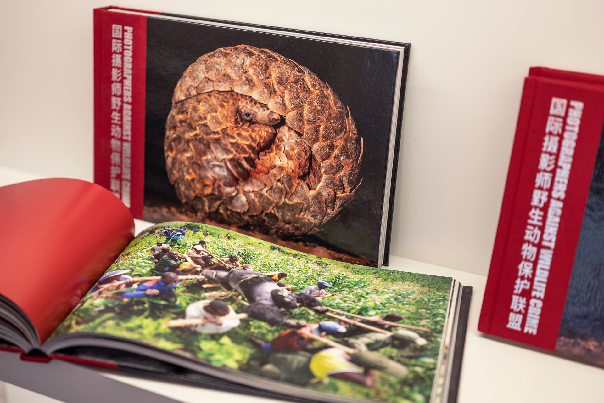 PHOTOGRAPHERS AGAINST WILDLIFE CRIME     A Beautiful Photography Book - Highly Acclaimed. Co-Creator Britta Jaschinski