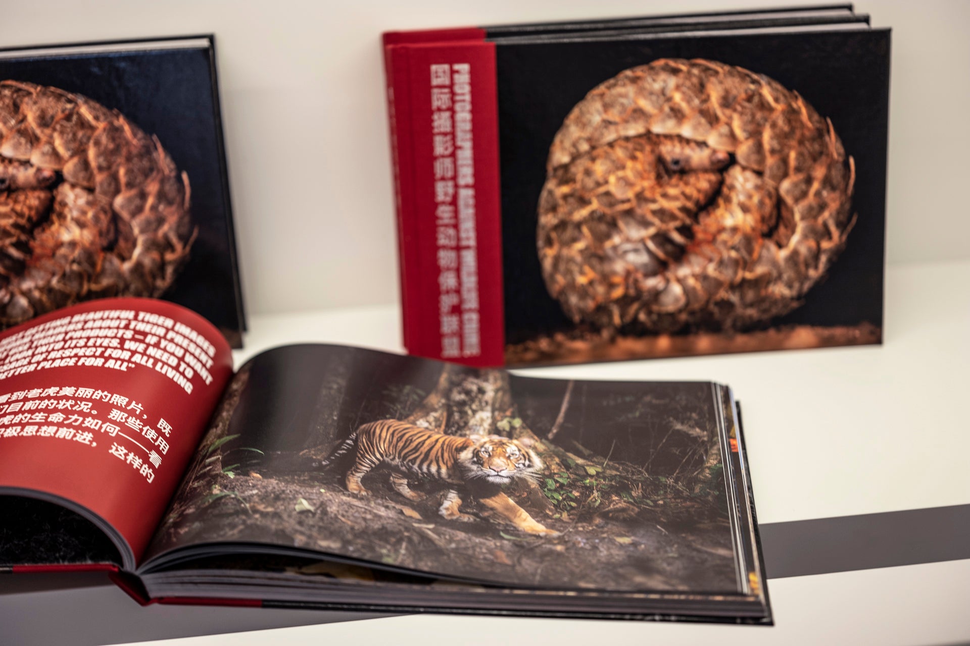 PHOTOGRAPHERS AGAINST WILDLIFE CRIME   (Languages English & Chinese)  A Unique Collection of Award Winning Photographs & Stories
