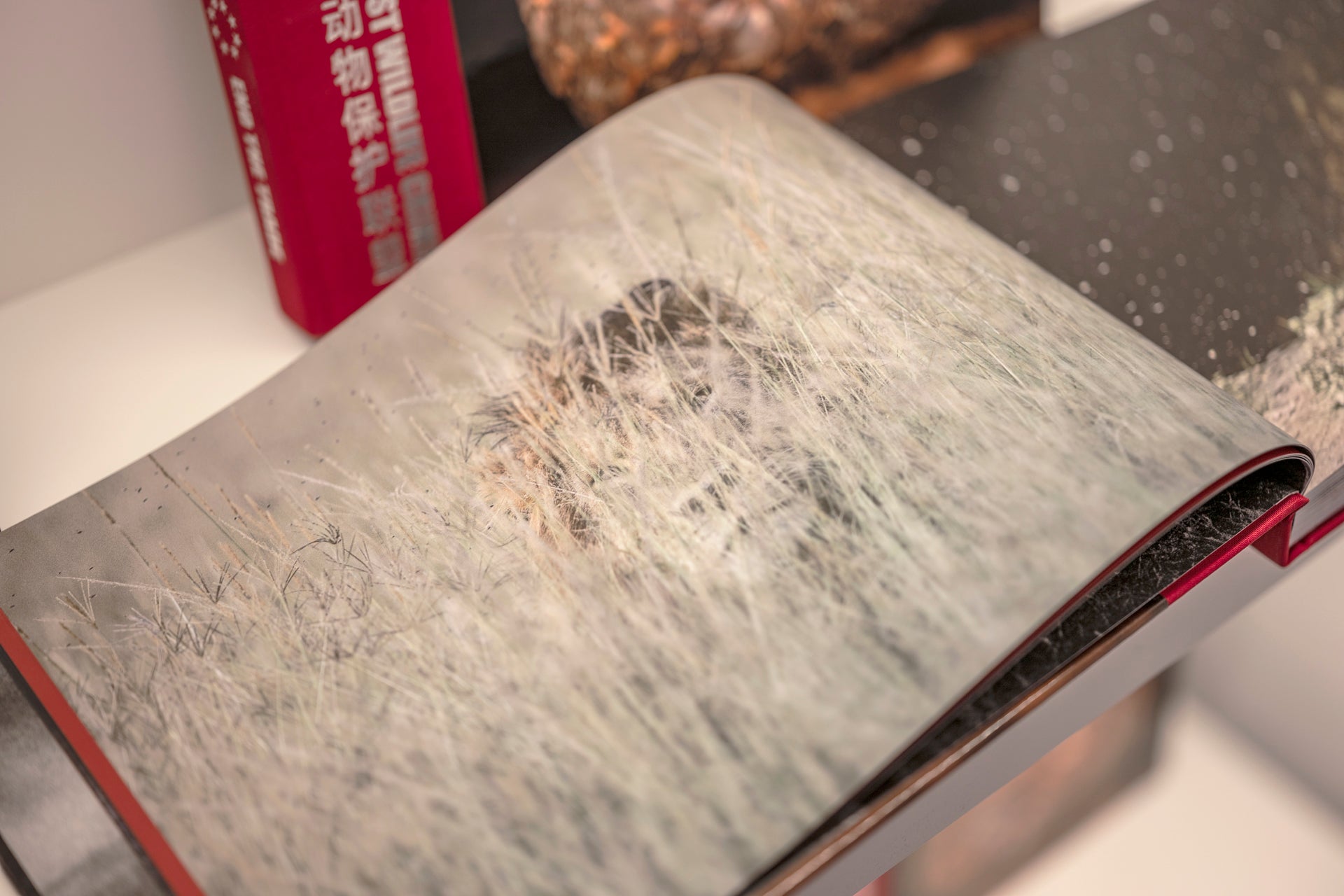 PHOTOGRAPHERS AGAINST WILDLIFE CRIME   (Languages English & Chinese)  A Unique Collection of Award Winning Photographs & Stories